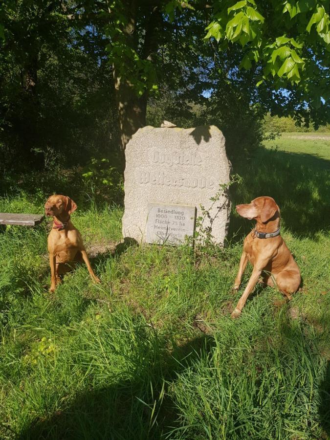 Ferienhaeuser Oberdorla Kültér fotó